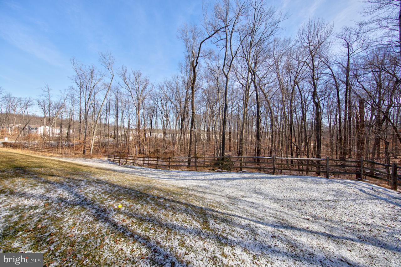 HOLLY WOODS - Residential