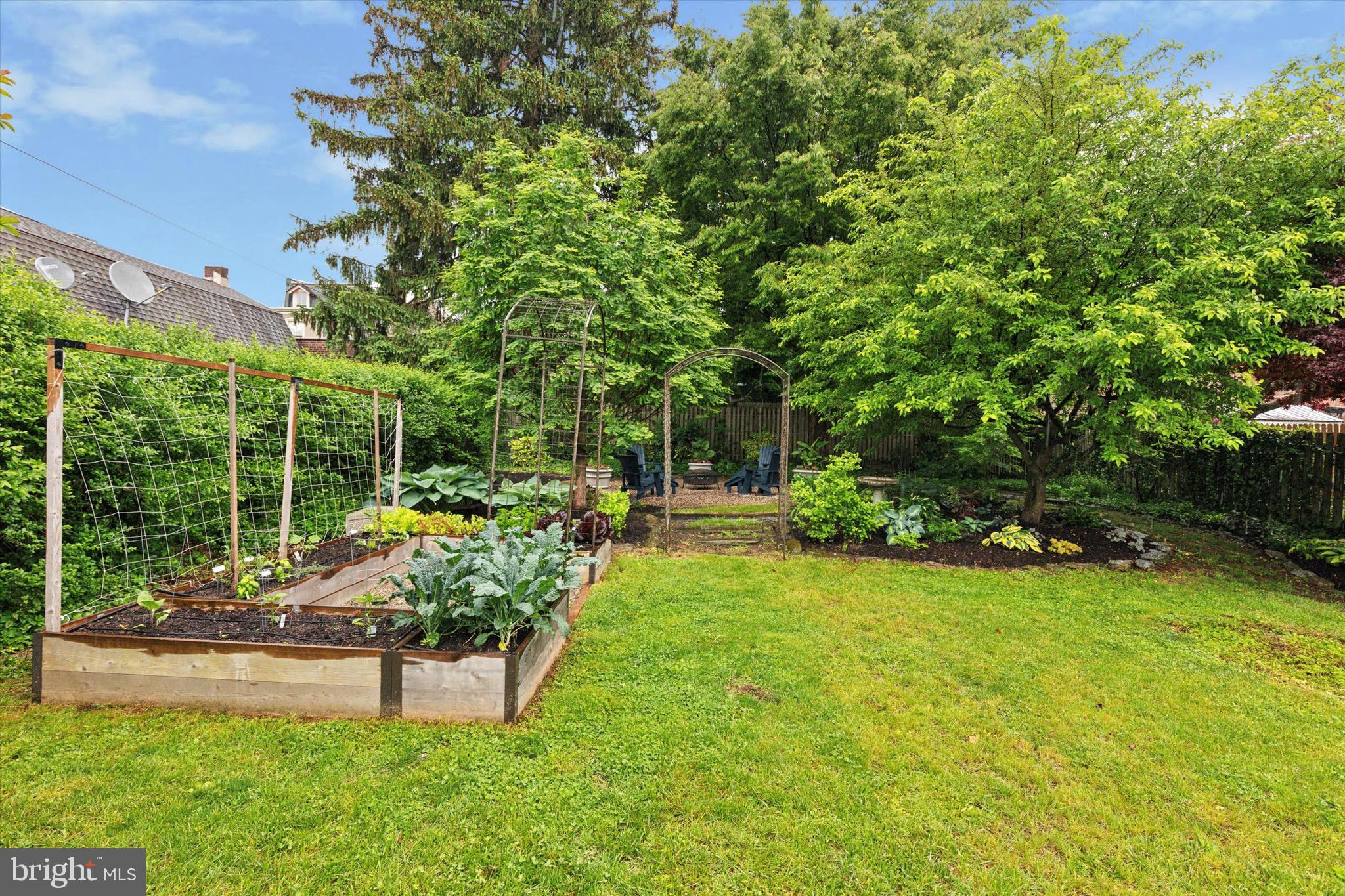 CHESTNUT HILL - Residential