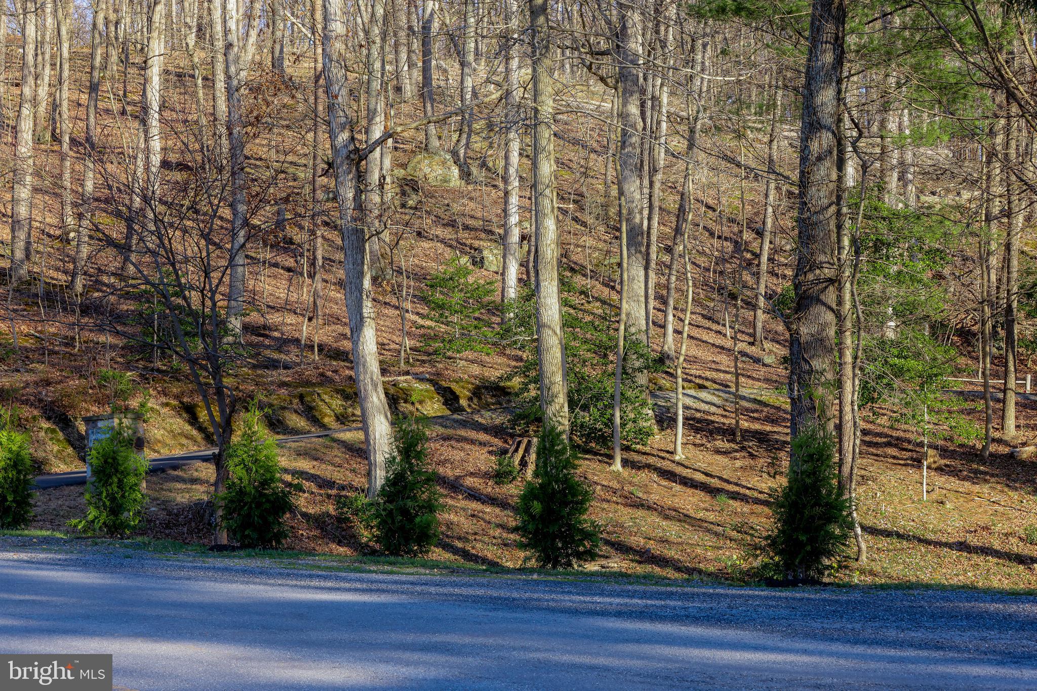 BLUEMONT - Residential