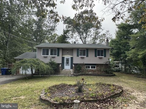 518 LOUISIANA TRAIL BROWNS MILLS NJ 08015