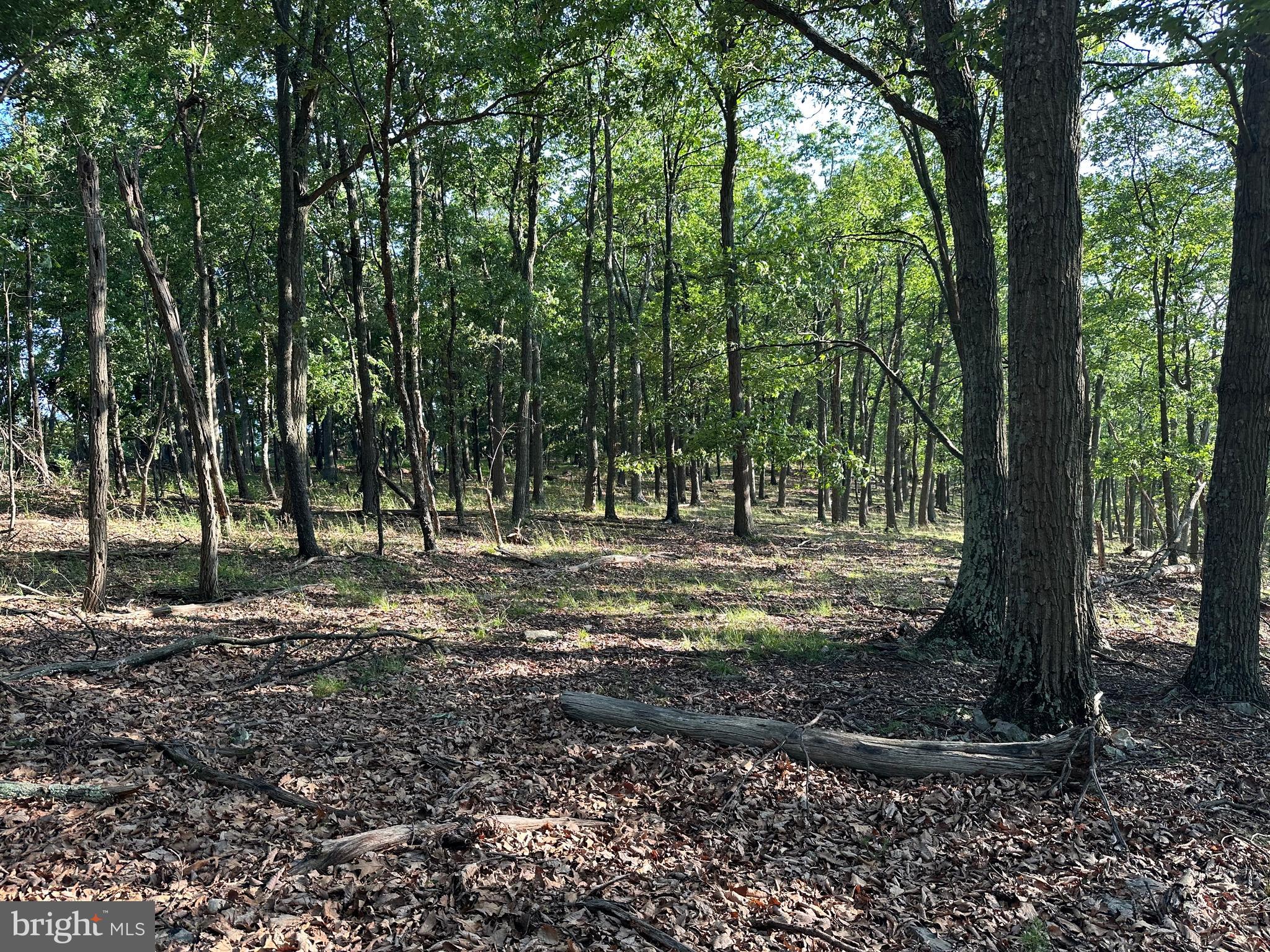 BLUFFS ON THE POTOMAC - Land