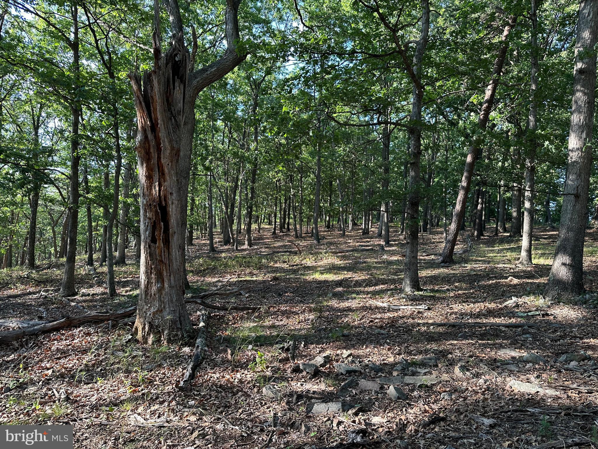 BLUFFS ON THE POTOMAC - Land