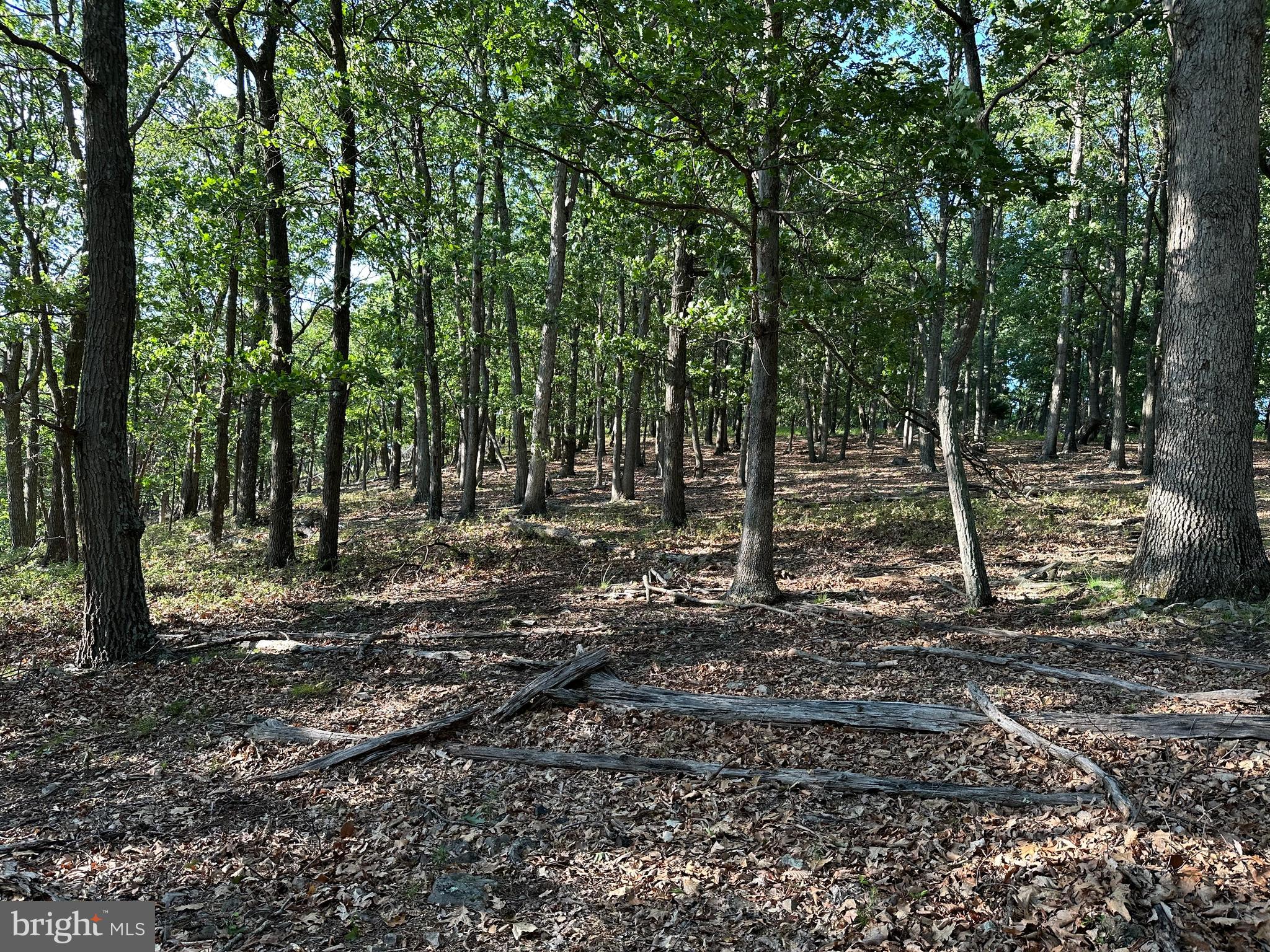 BLUFFS ON THE POTOMAC - Land