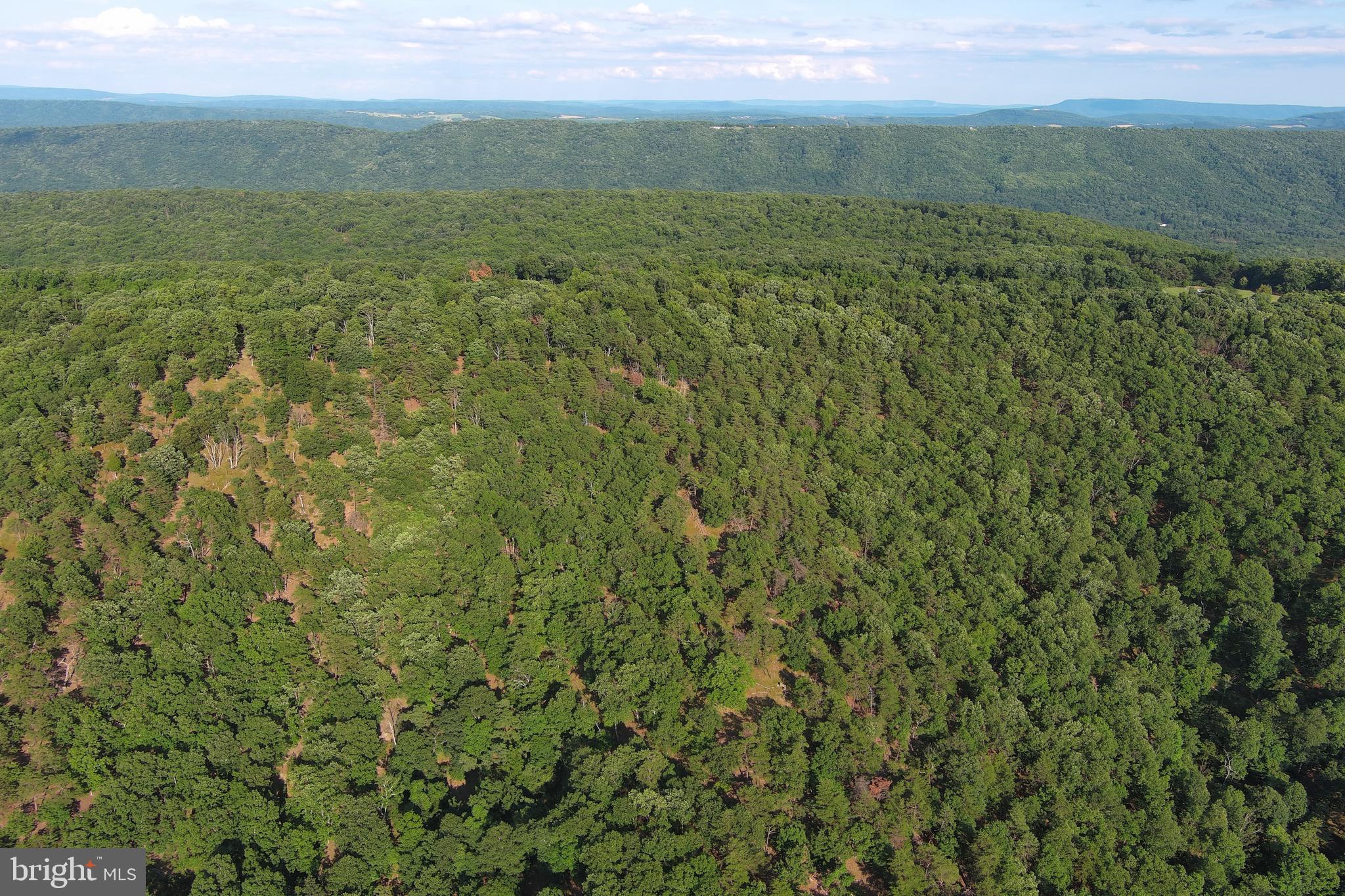 BLUFFS ON THE POTOMAC - Land