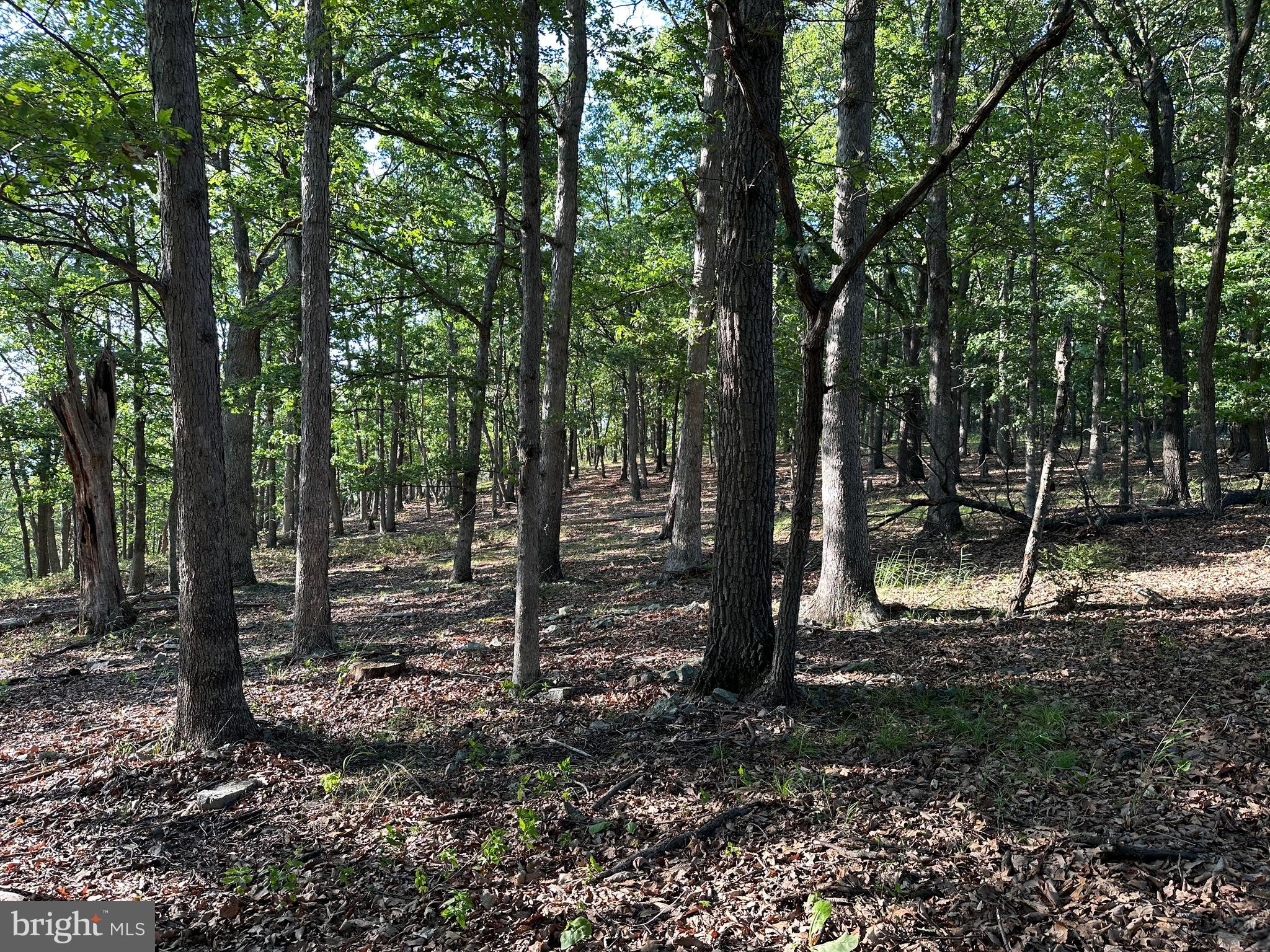 BLUFFS ON THE POTOMAC - Land