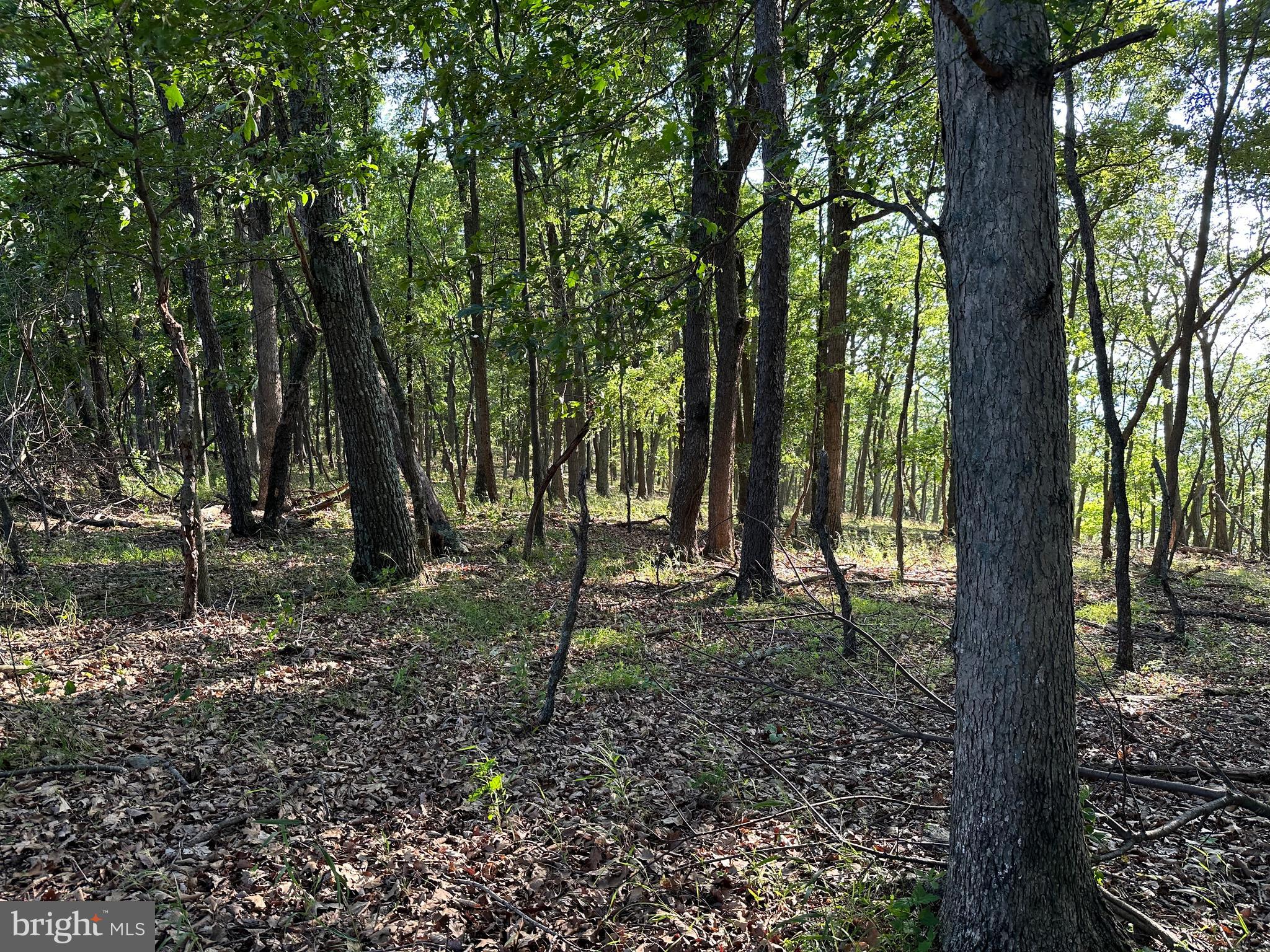 BLUFFS ON THE POTOMAC - Land