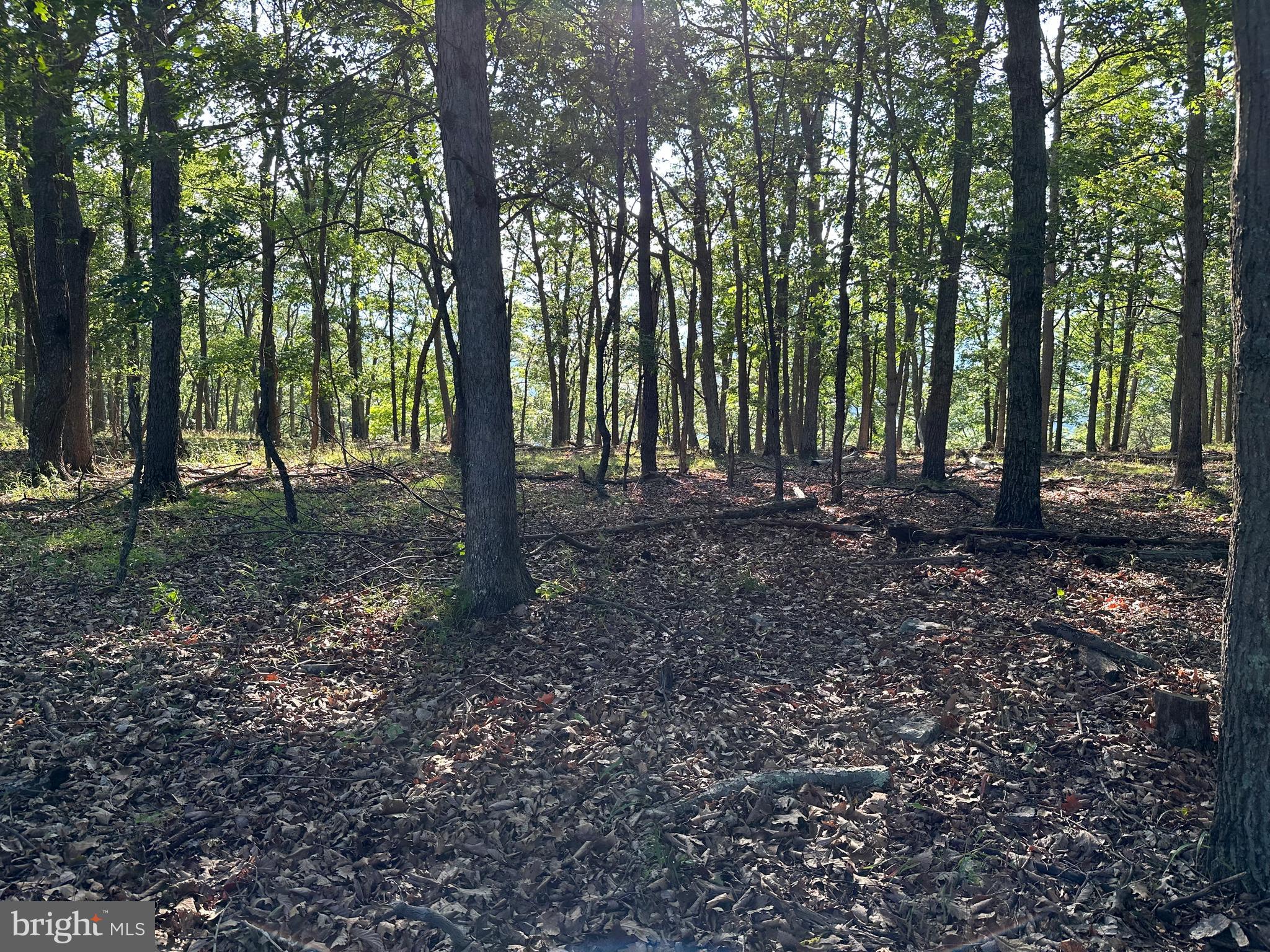 BLUFFS ON THE POTOMAC - Land