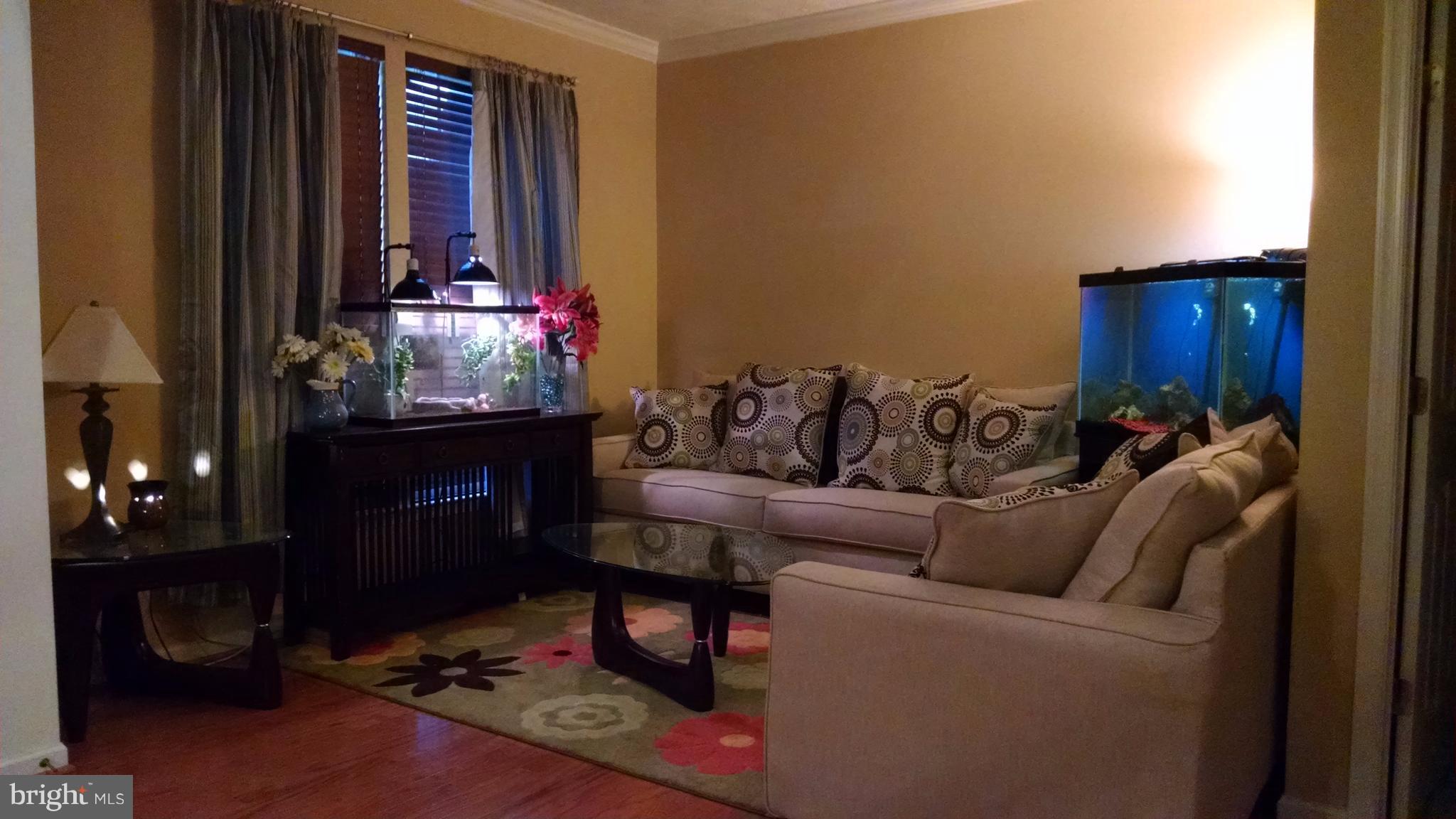 CATTAIL COMMONS - Residential