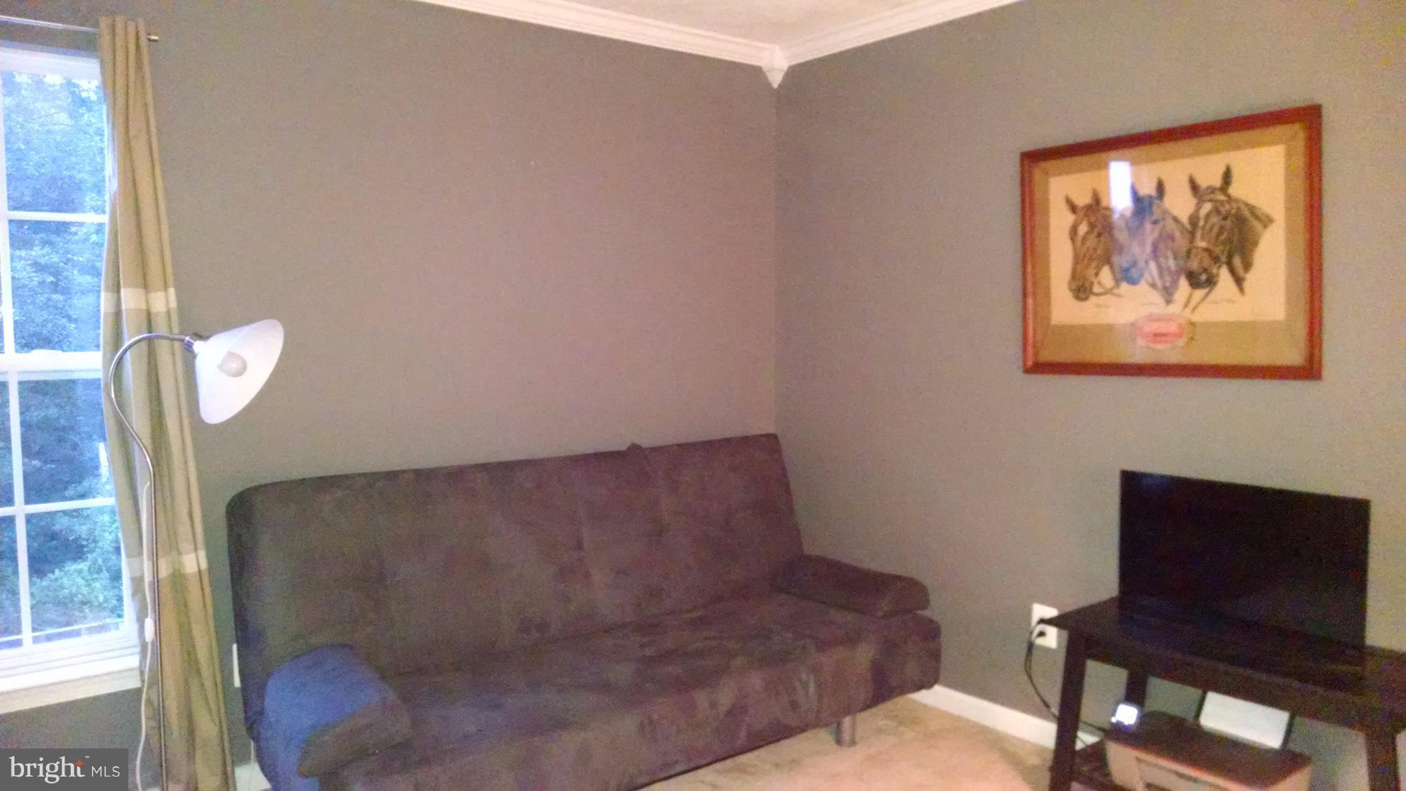 CATTAIL COMMONS - Residential