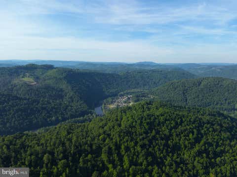 Vacant Land For Sale - TBD Calvert Shaver Rd<br/> ROWLESBURG, WV 26425