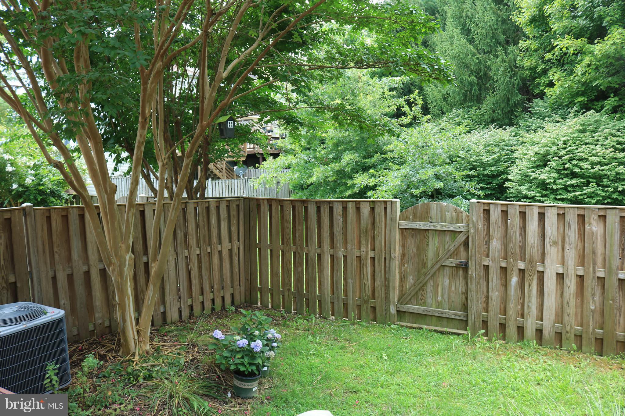 KINGSTOWNE - Residential Lease