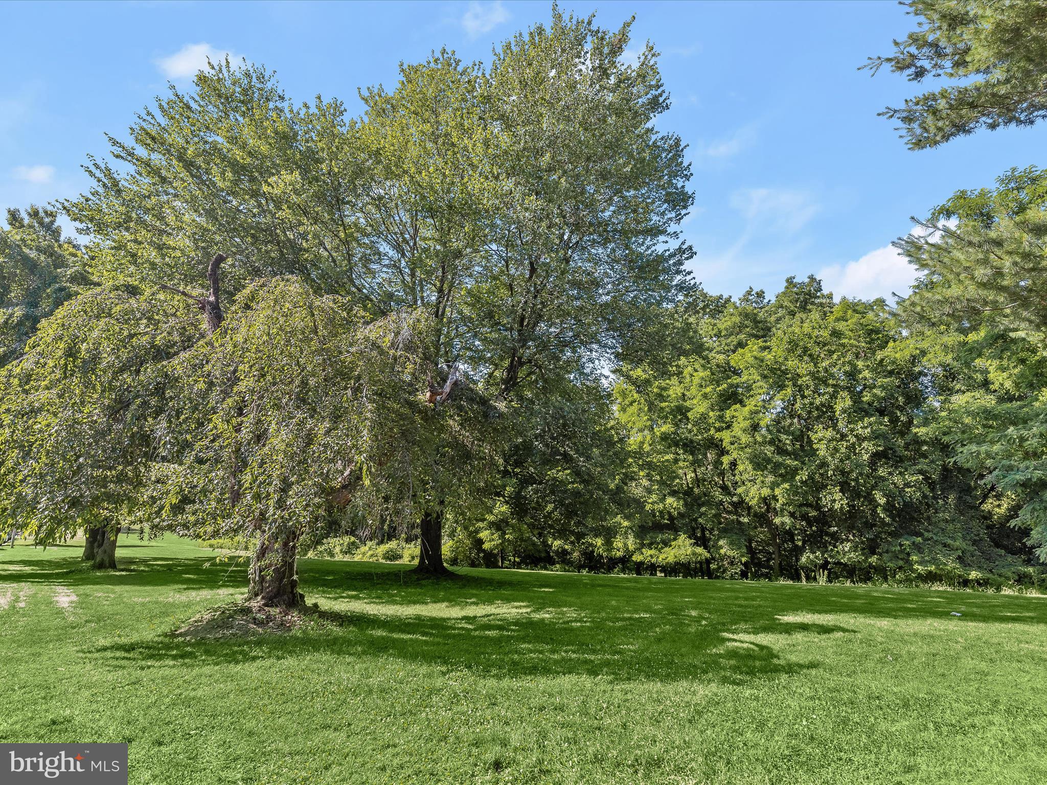 MAYFIELD - Residential