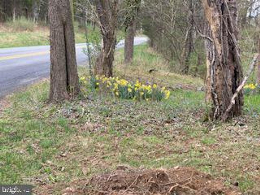 listing image 84