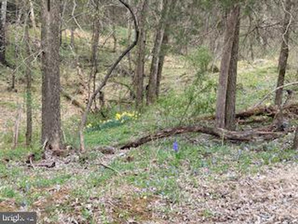 listing image 85