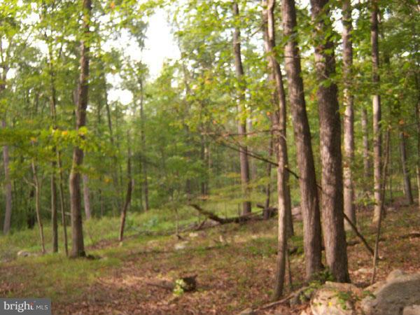 NONE AVAILABLE - Land