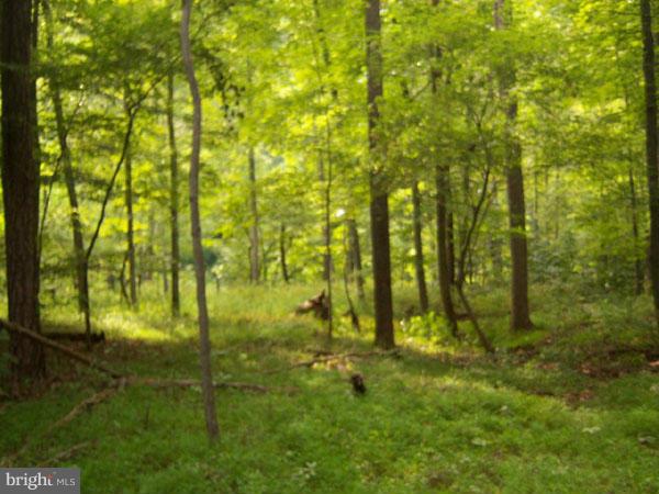 NONE AVAILABLE - Land