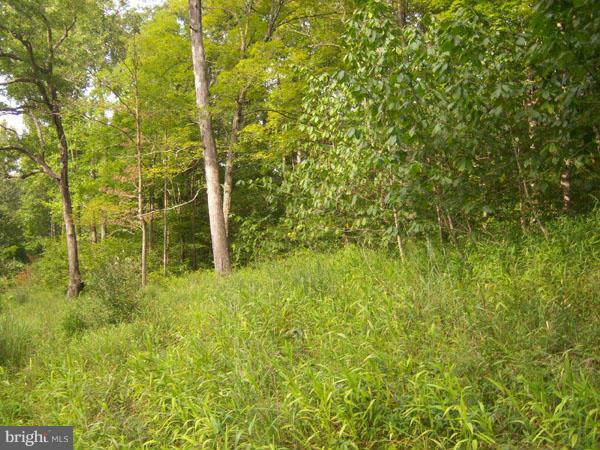 NONE AVAILABLE - Land