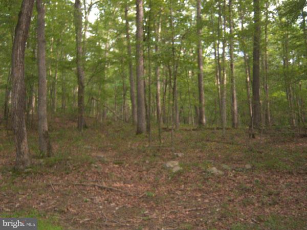 NONE AVAILABLE - Land