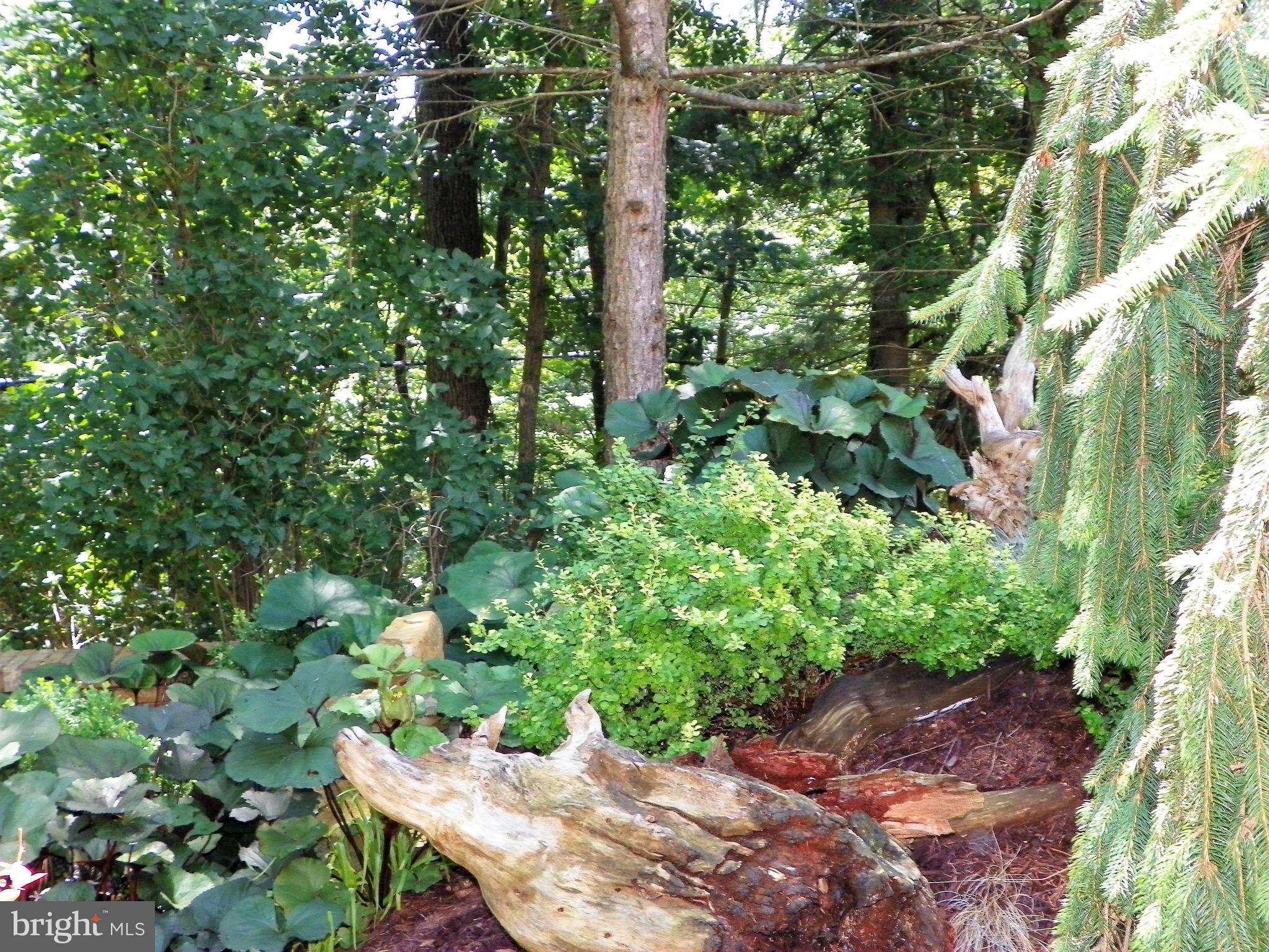 LYNNWOOD - Residential