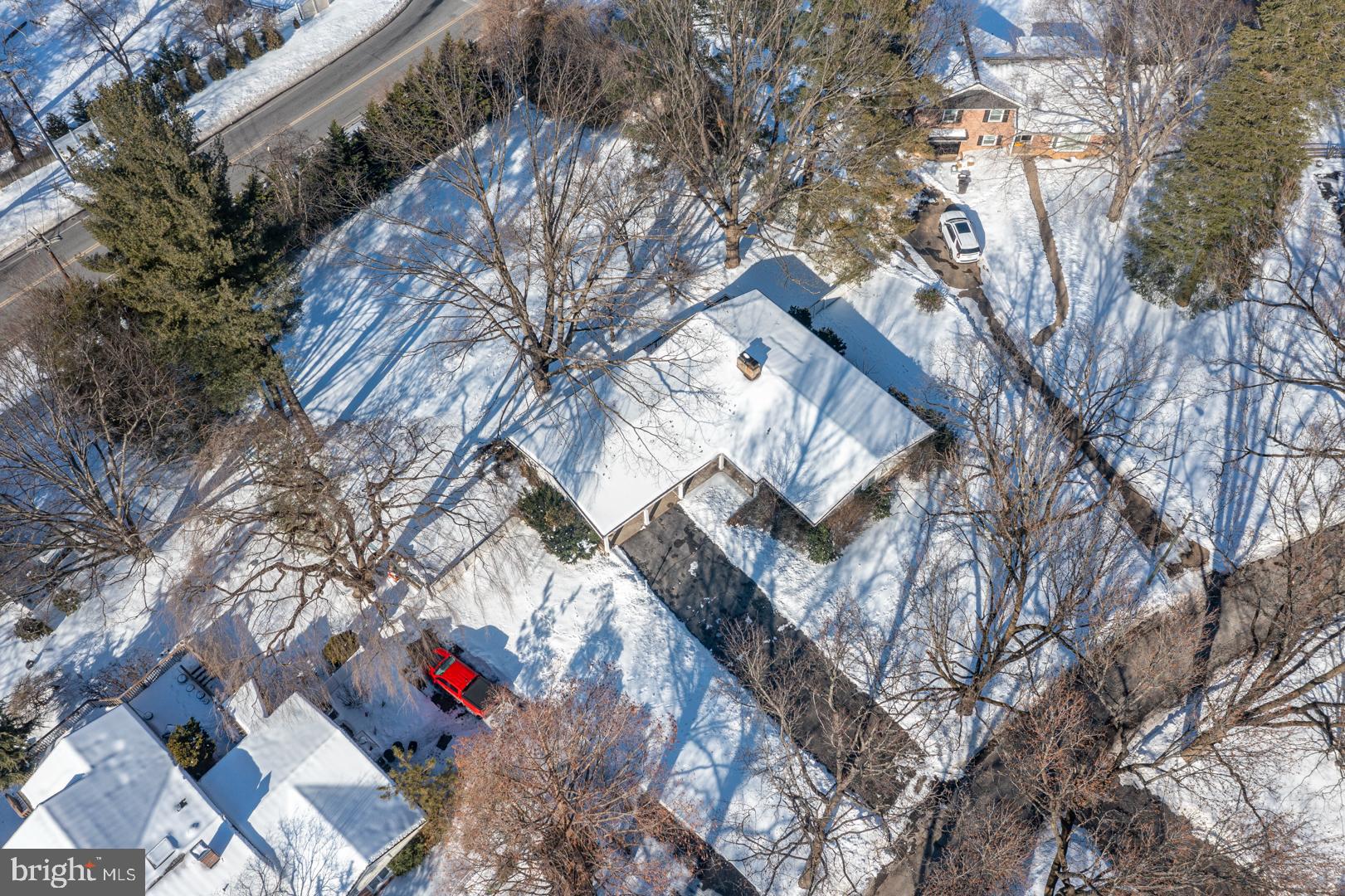 BIRDLAND - Residential