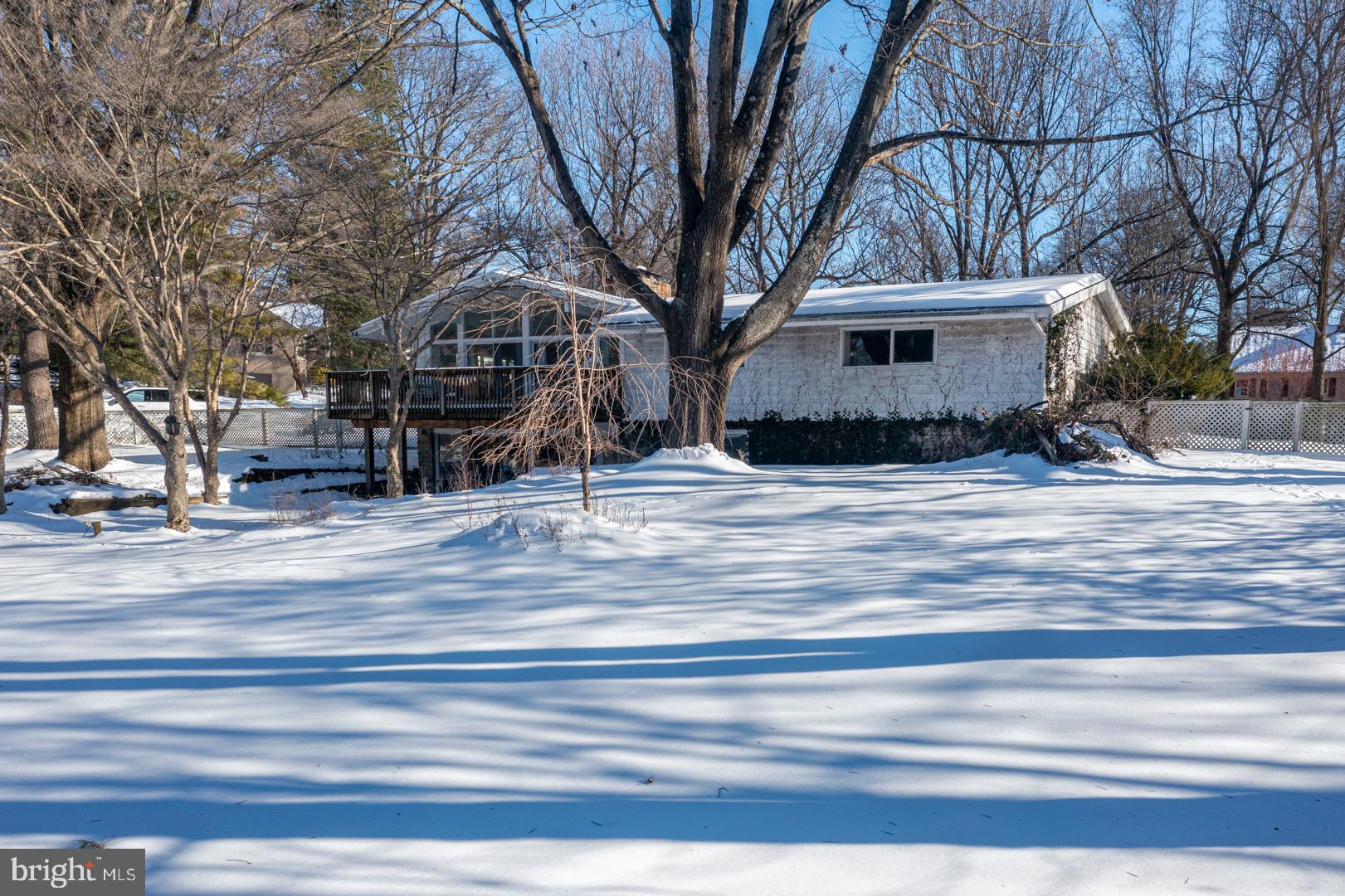 BIRDLAND - Residential