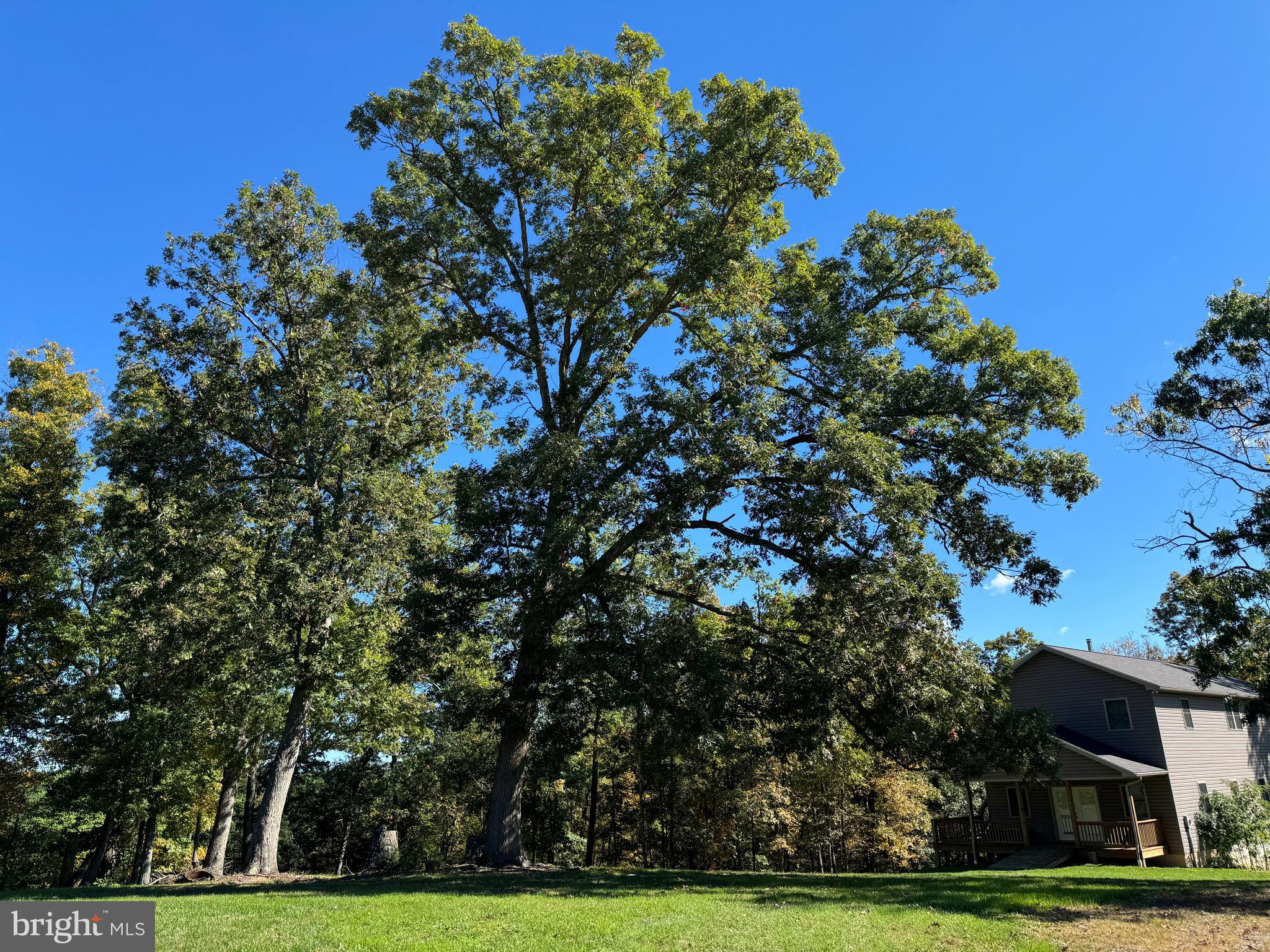 CRESCENT CROSSING - Residential