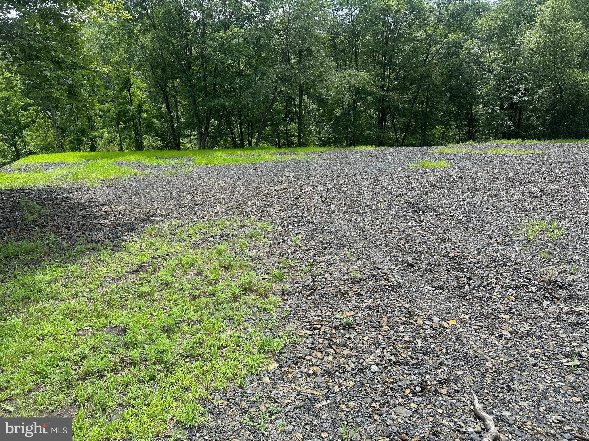 Pottsville, Pennsylvania 17901, United States, ,Land,Active,175899