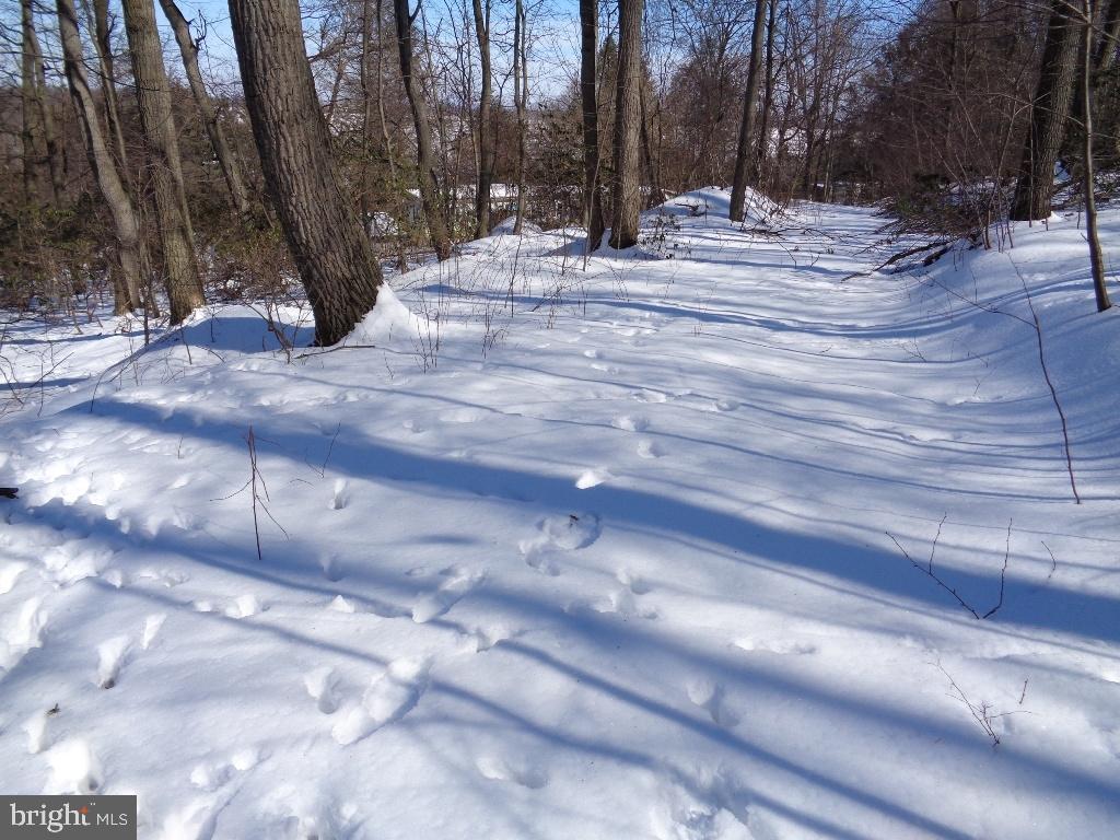 NONE AVAILABLE - Land