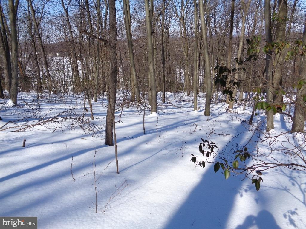 NONE AVAILABLE - Land