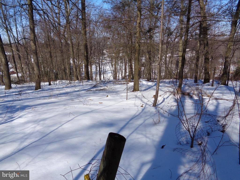 NONE AVAILABLE - Land