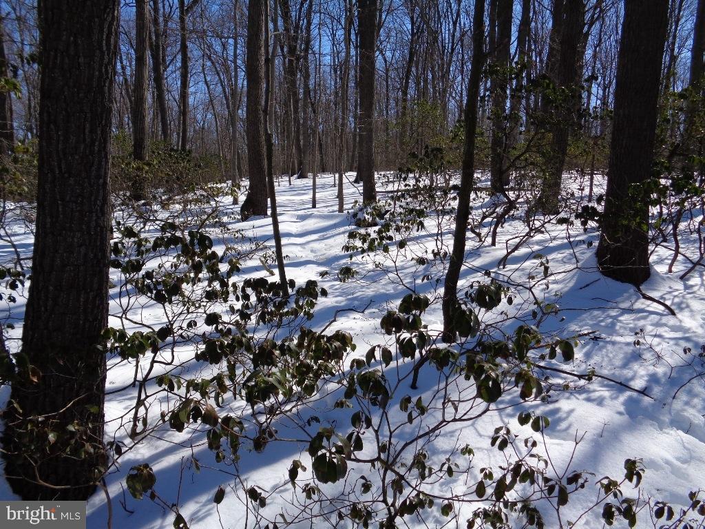 NONE AVAILABLE - Land