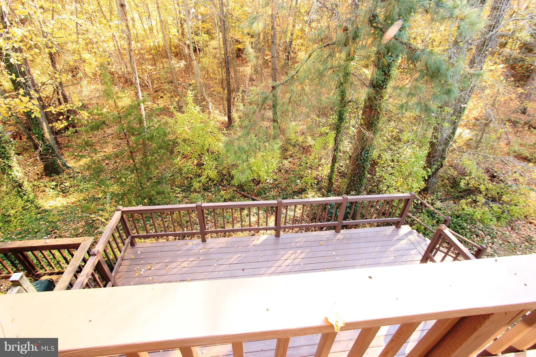 CARMEN WOODS - Residential Lease