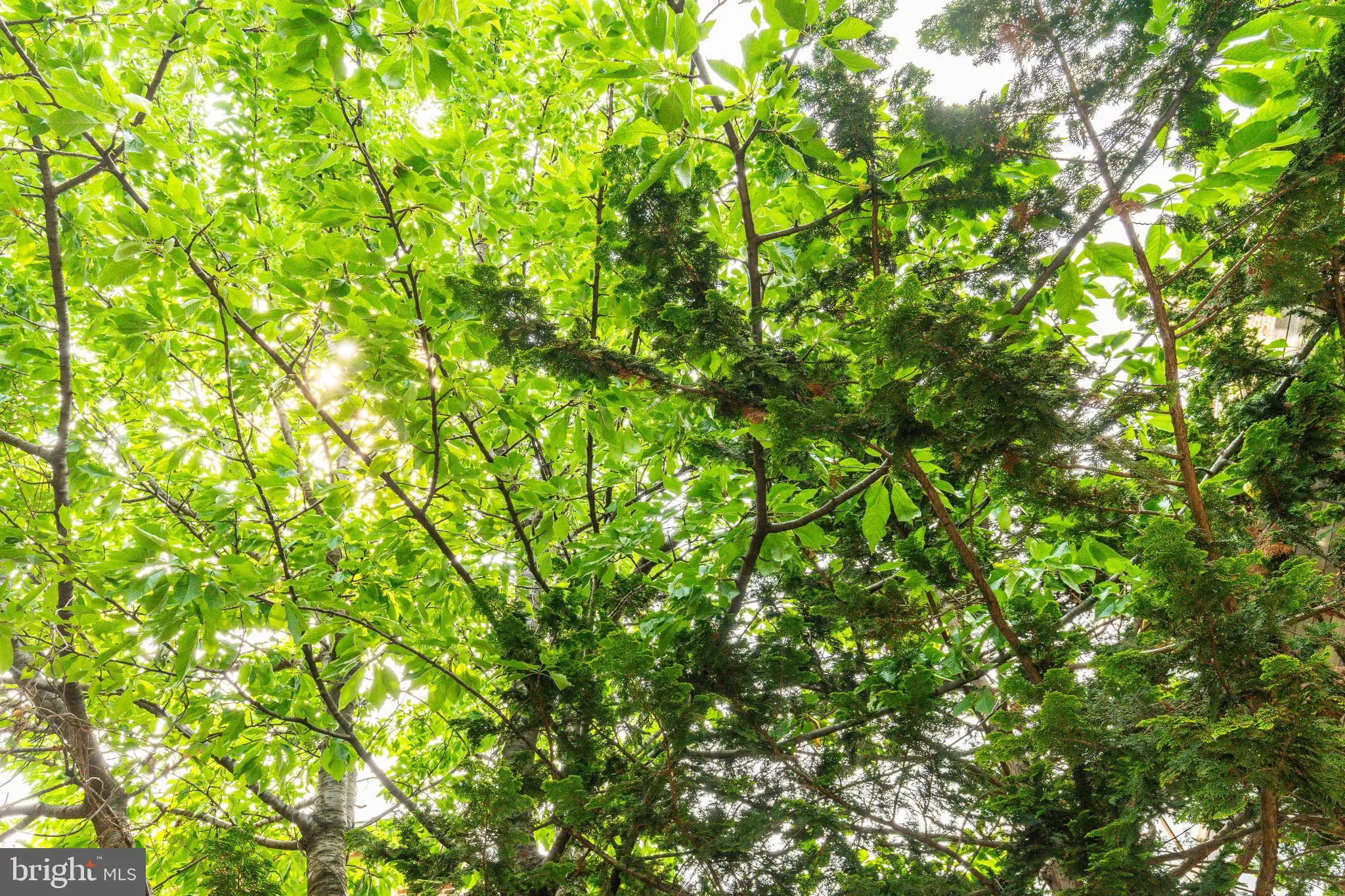 Philadelphia, Pennsylvania 19103, United States, 1 Bedroom Bedrooms, ,1 BathroomBathrooms,Residential,Active,146579