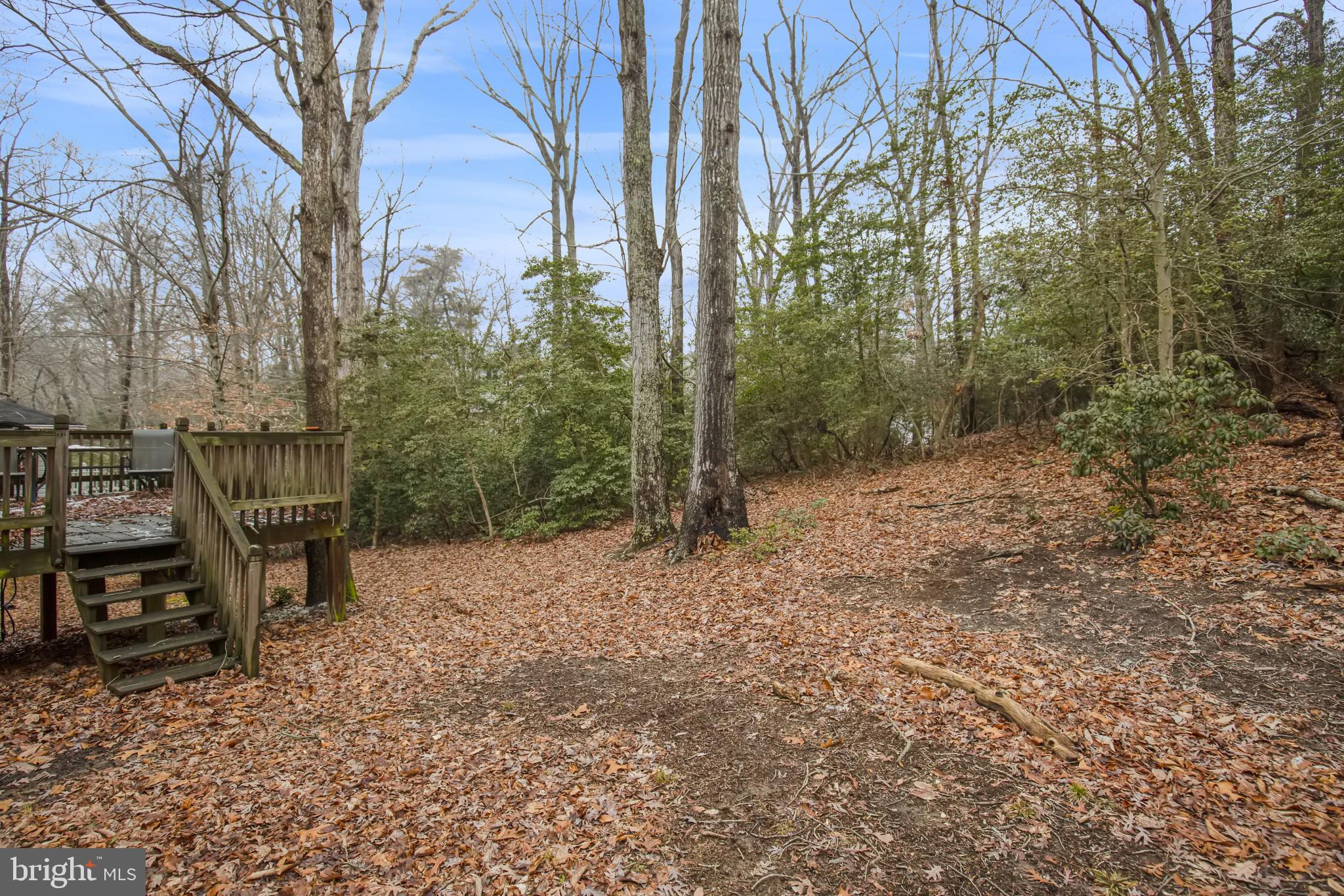 CHESAPEAKE RANCH ESTATES - Residential