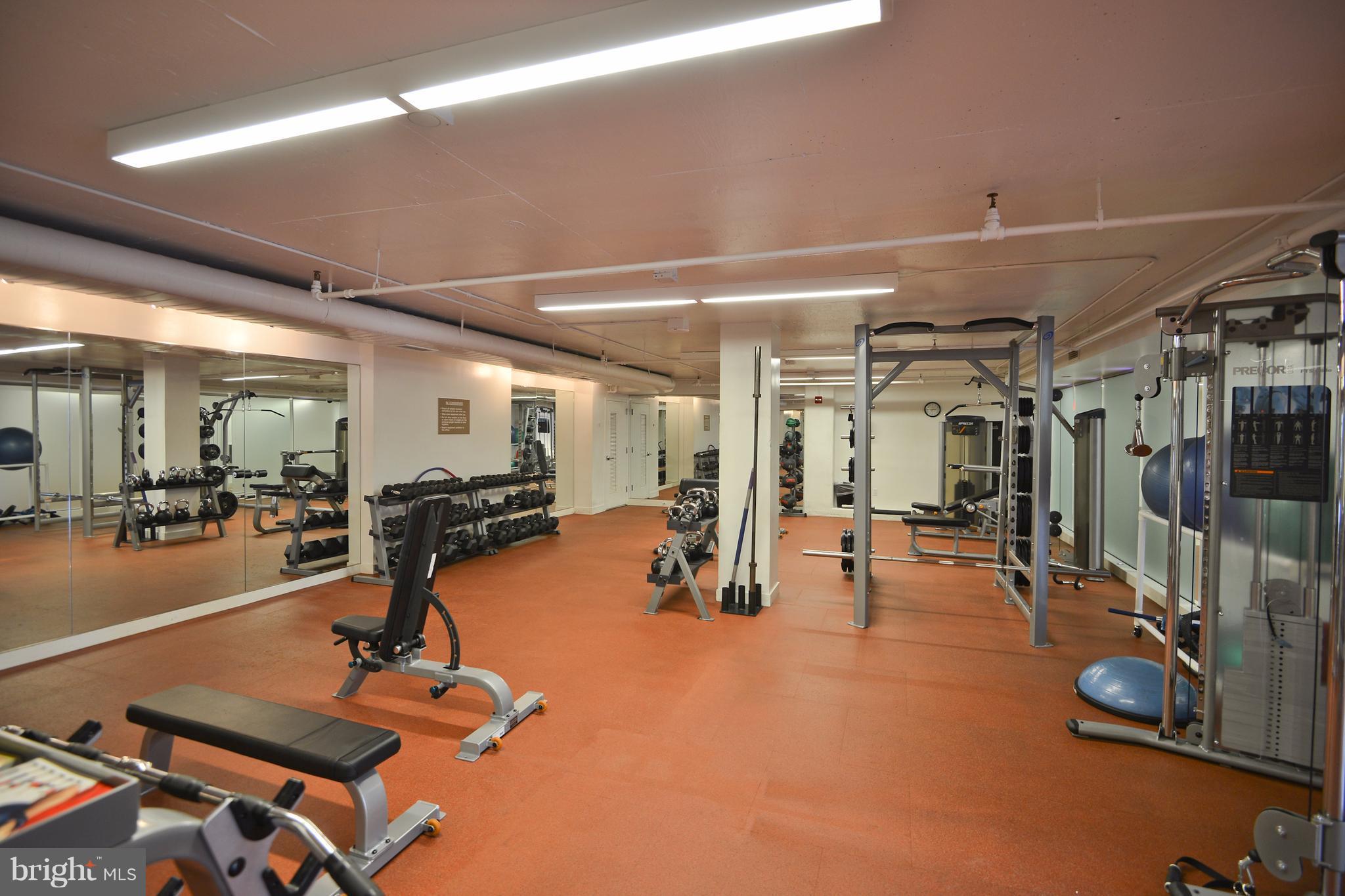 BELVEDERE - Residential Lease