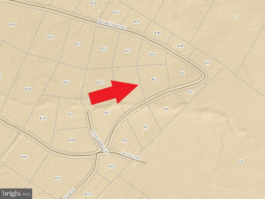 Located in Page County, Luray is one of Virginia's best kept secrets! There are so many things to do just a short drive away. Walk downtown Luray, explore the famous Luray Caverns, or take a drive down the picturesque Skyline Drive.  Come and discover your permanent vacation spot in Shenandoah Forest! Just a short drive to downtown Luray, VA.