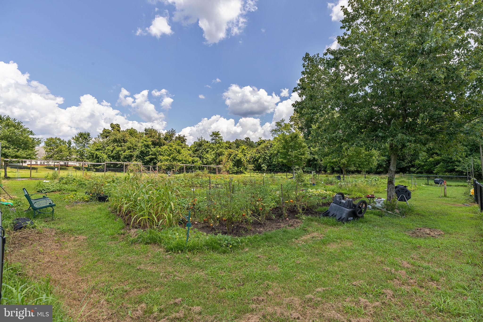 CAMERON GROVE - Residential