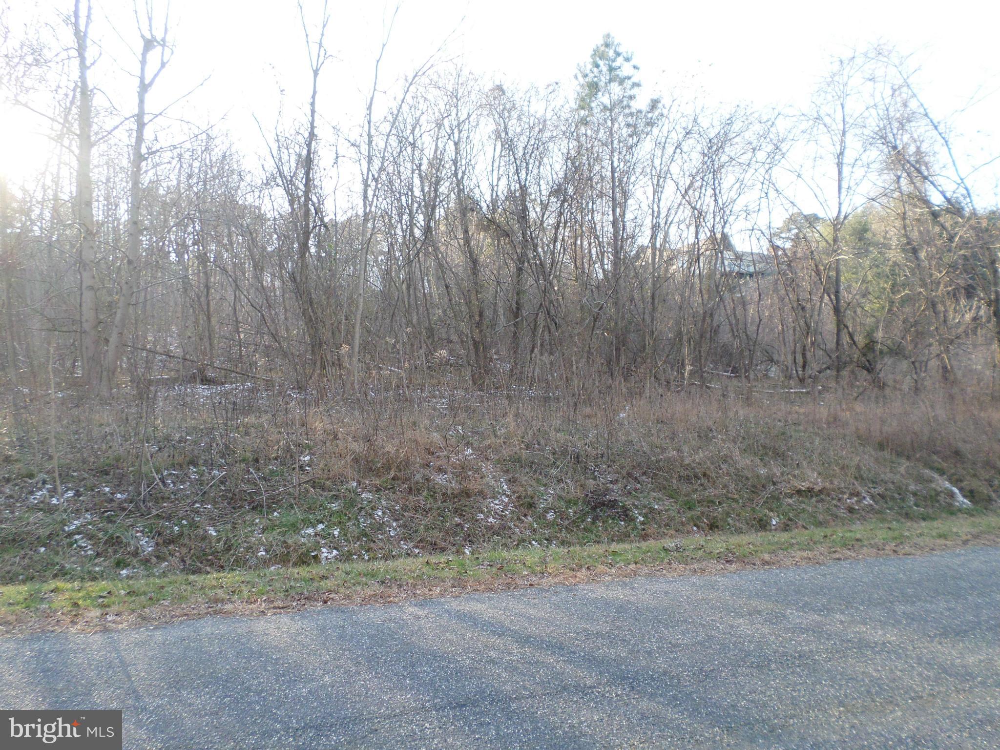 HAULOVER SHORES - Land