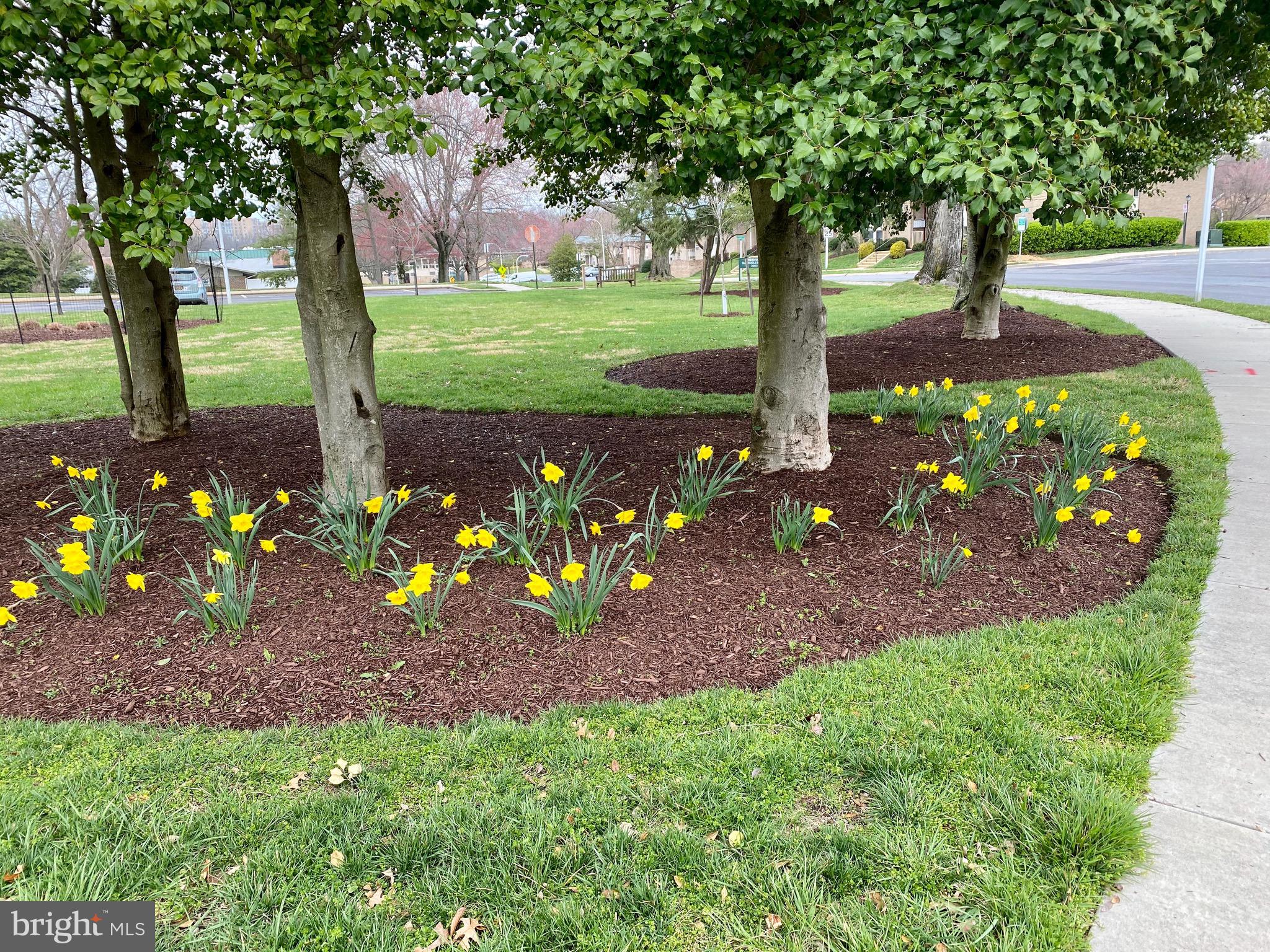 ROSSMOOR LEISURE WORLD - Residential