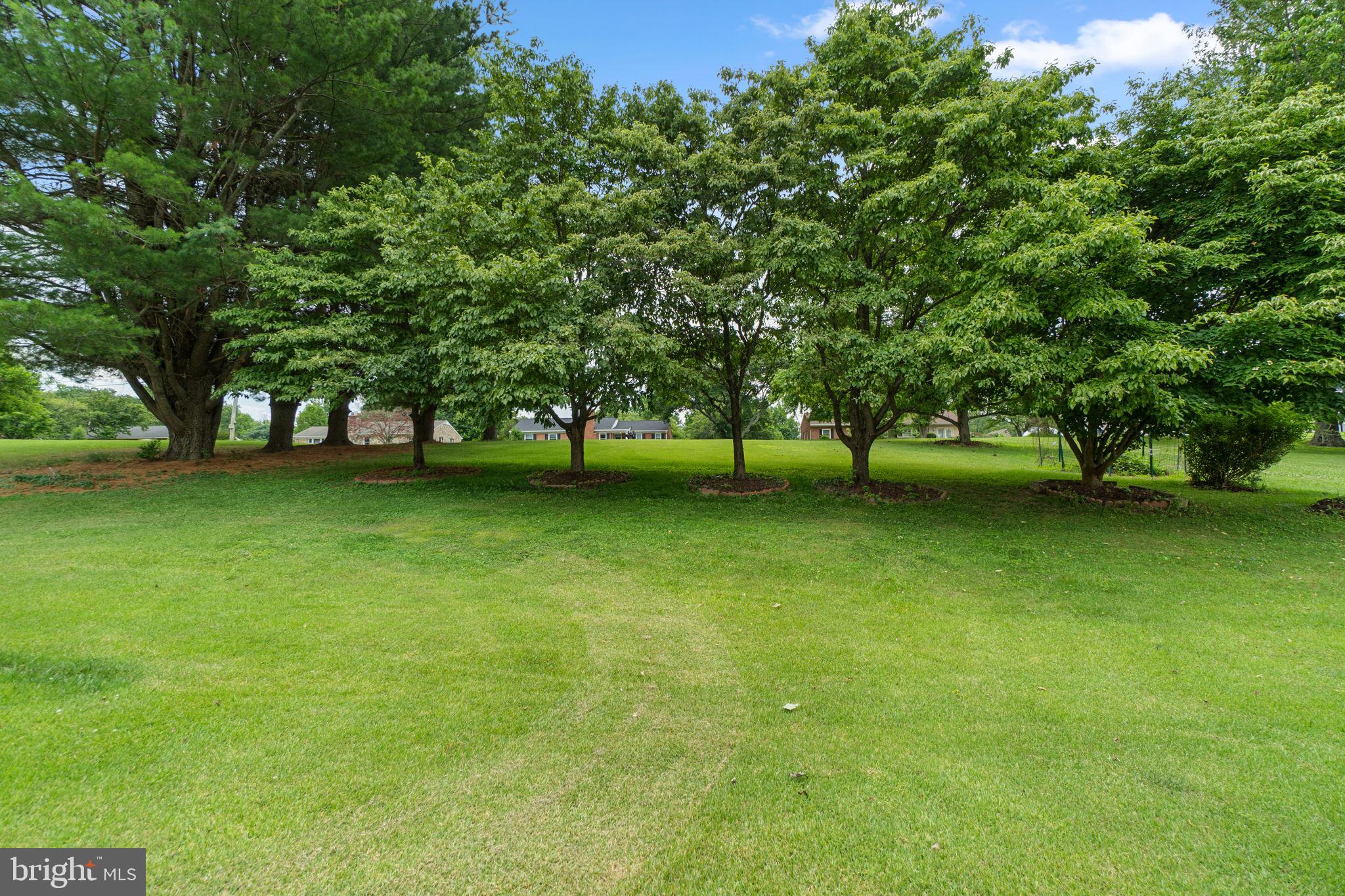 10035 REED LANE