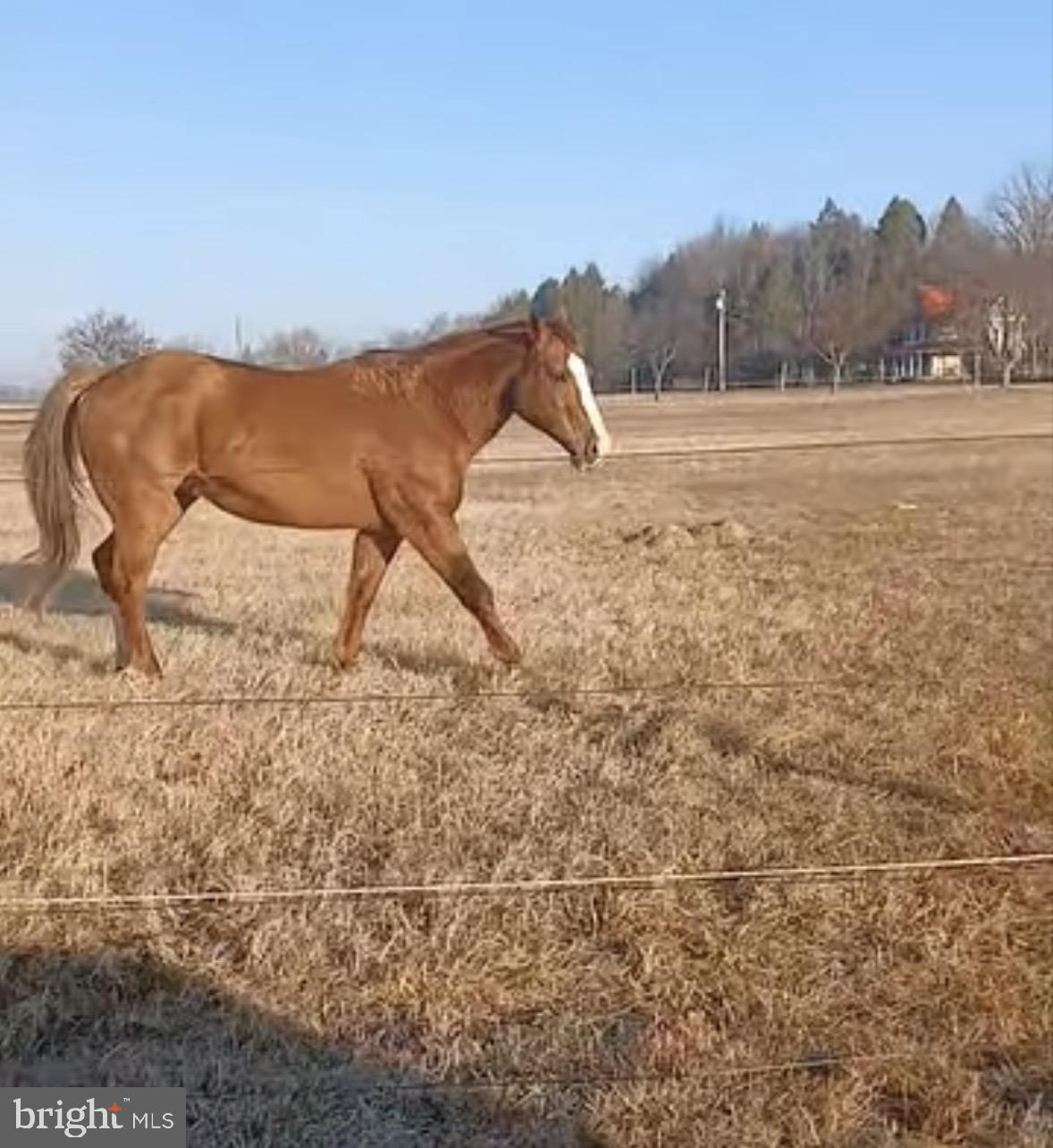 181 PEDRICKTN WOODSTN ROAD