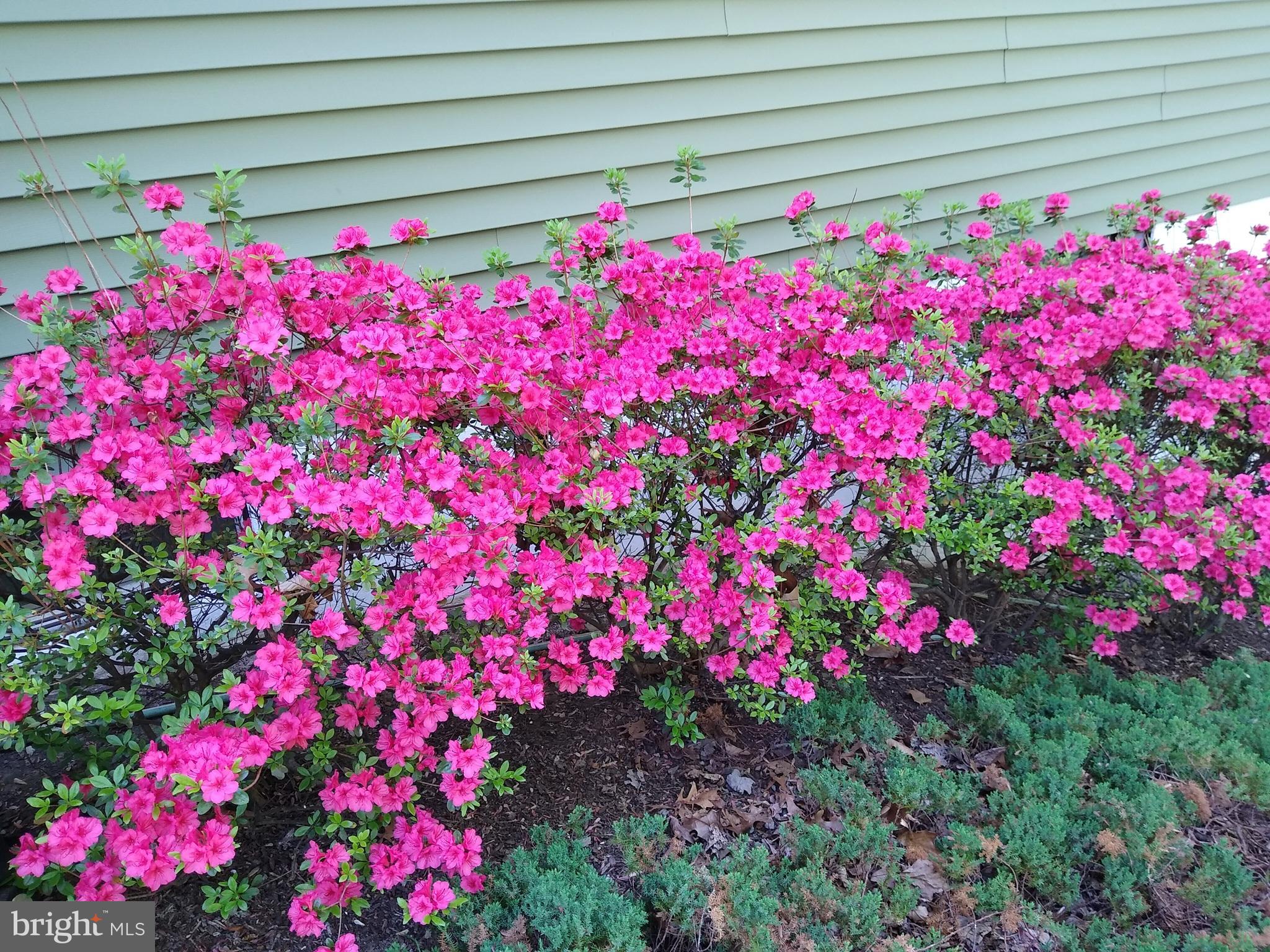 SUMMIT RIDGE - Residential