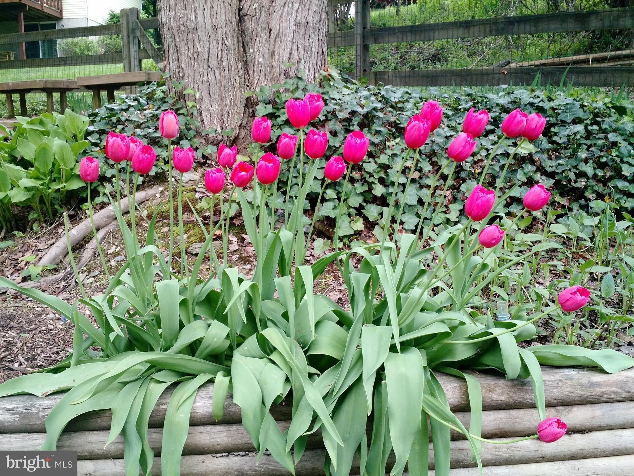 SUMMIT RIDGE - Residential