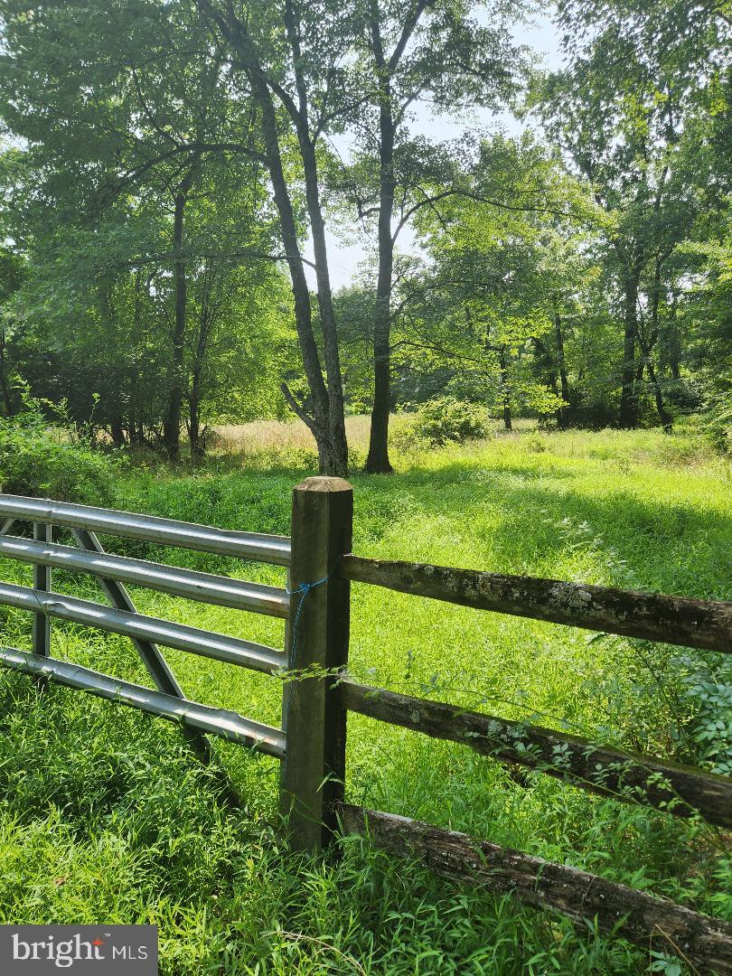 RADNOR HUNT - Residential