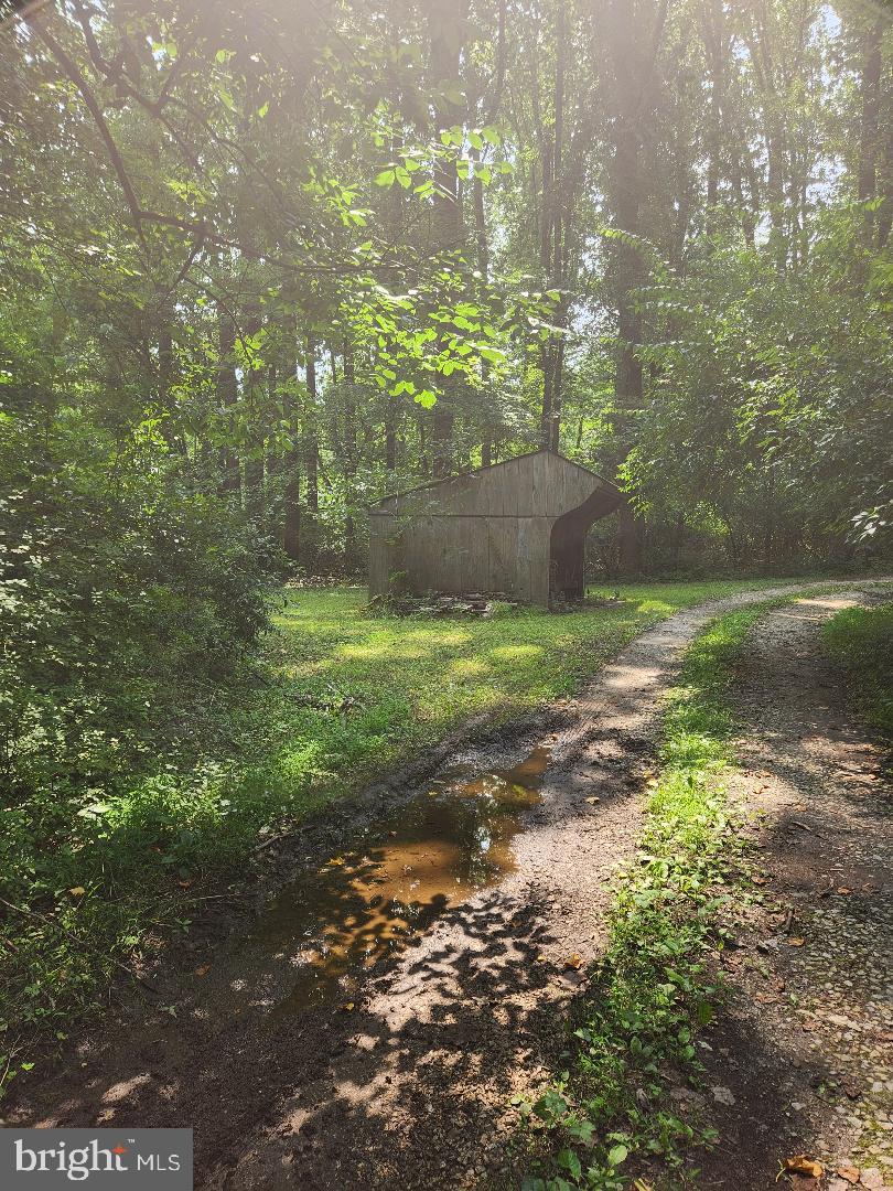 RADNOR HUNT - Residential