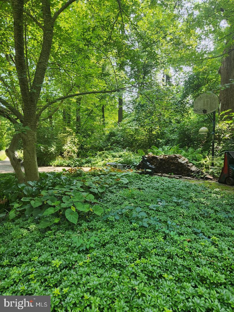 RADNOR HUNT - Residential
