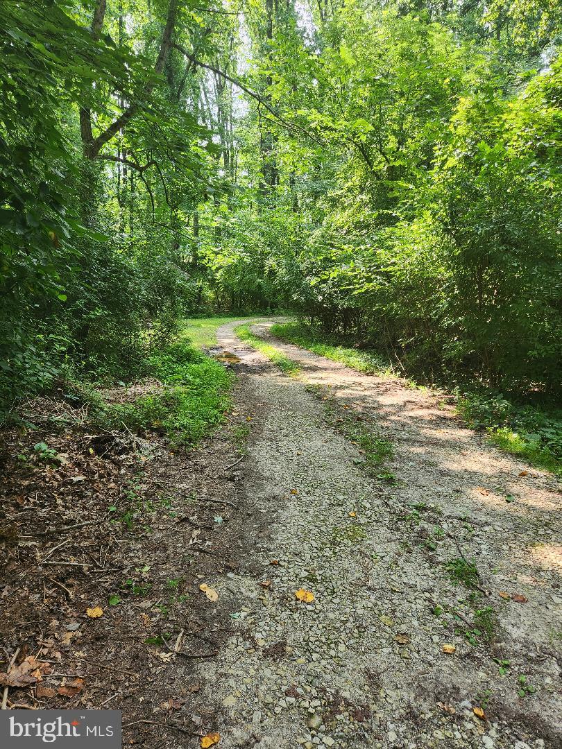 RADNOR HUNT - Residential