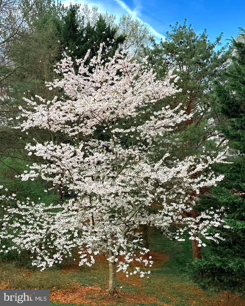 SULLY STATION - Residential