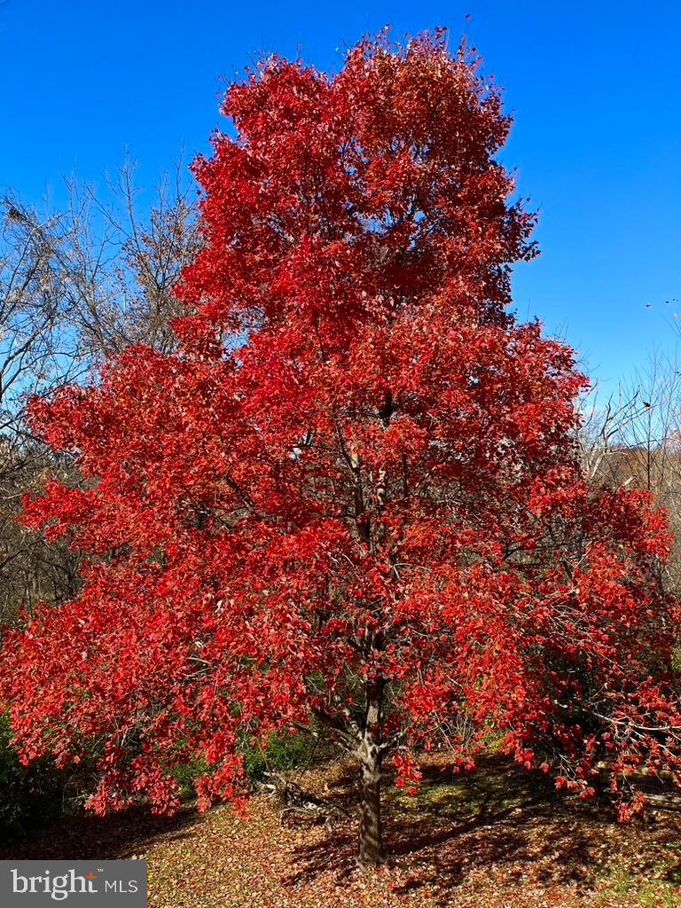 SULLY STATION - Residential