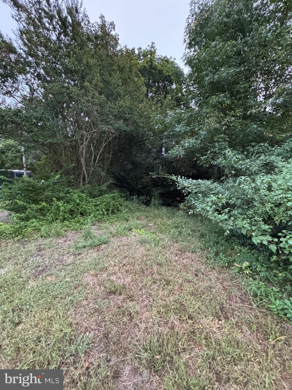 Photo of 9335 S Dupont Highway, FELTON, DE 19943 (MLS # DEKT2036346)